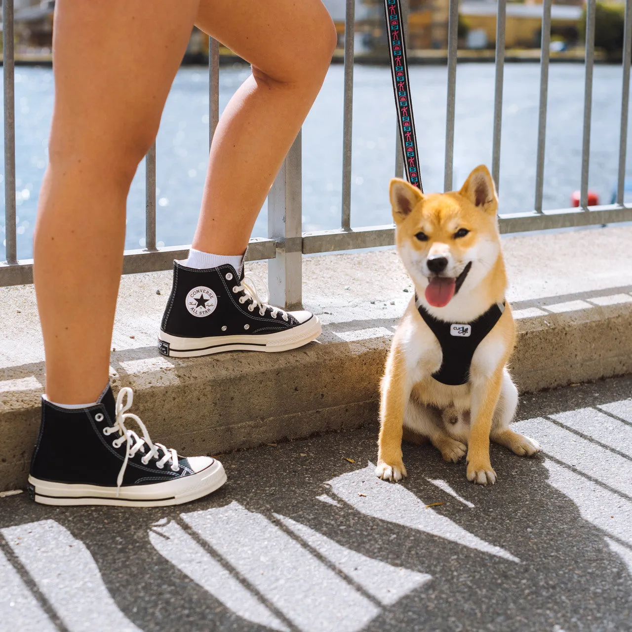 Stretch Zone Chuck Taylor 70 Hi