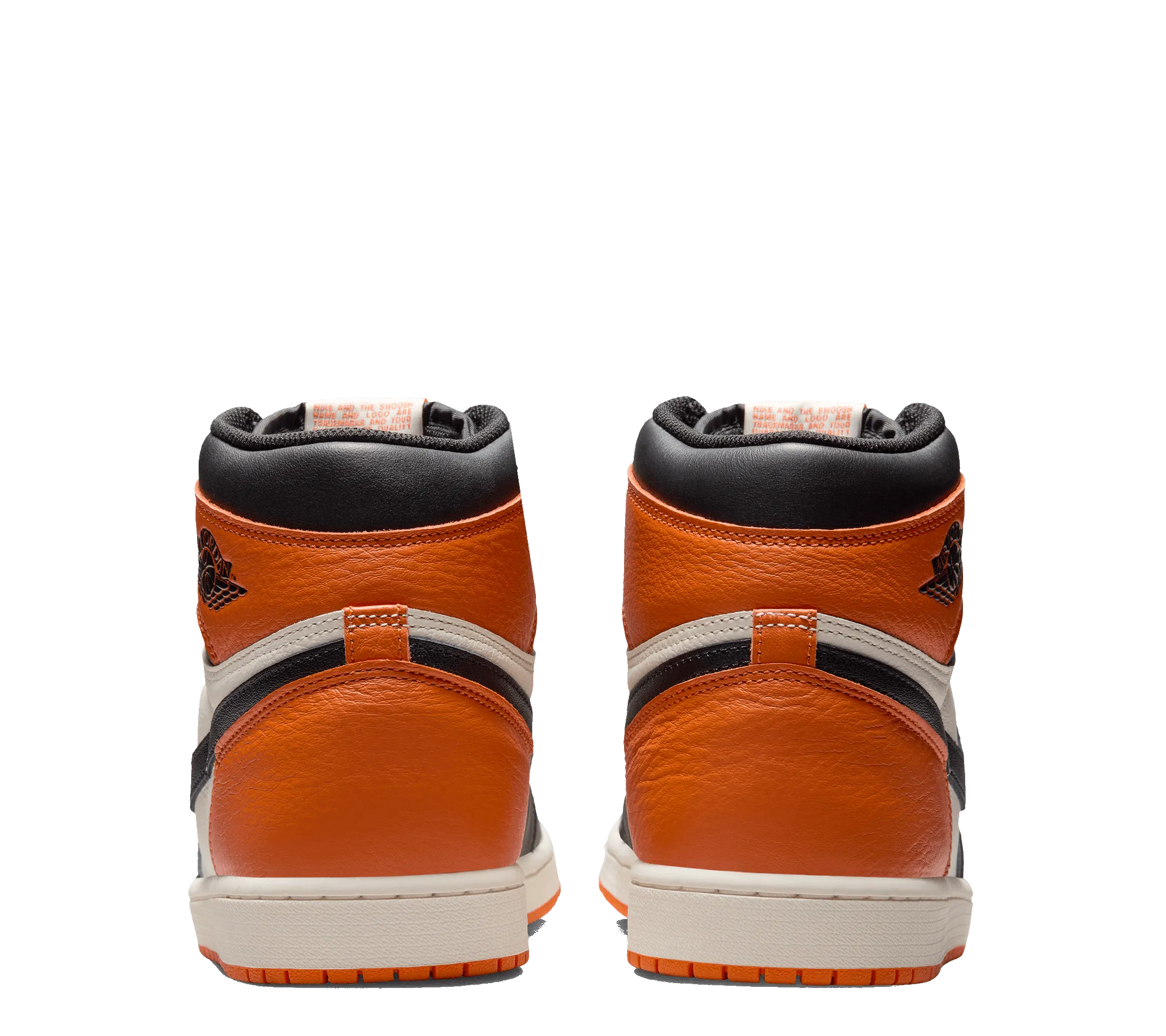 DRAW CLOSED | Air Jordan 1 Retro High OG "Shattered Backboard" Urban Chill Wet Land