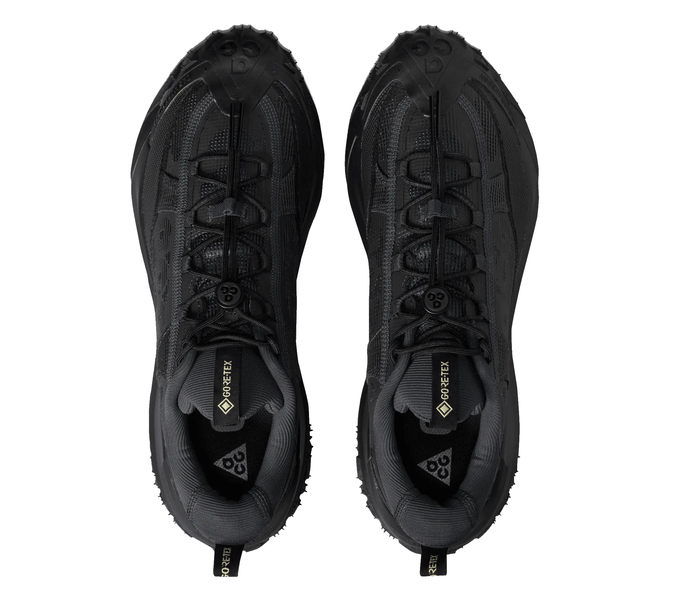 Winter Base Smart Fit Nike ACG Mountain Fly 2 Low GTX