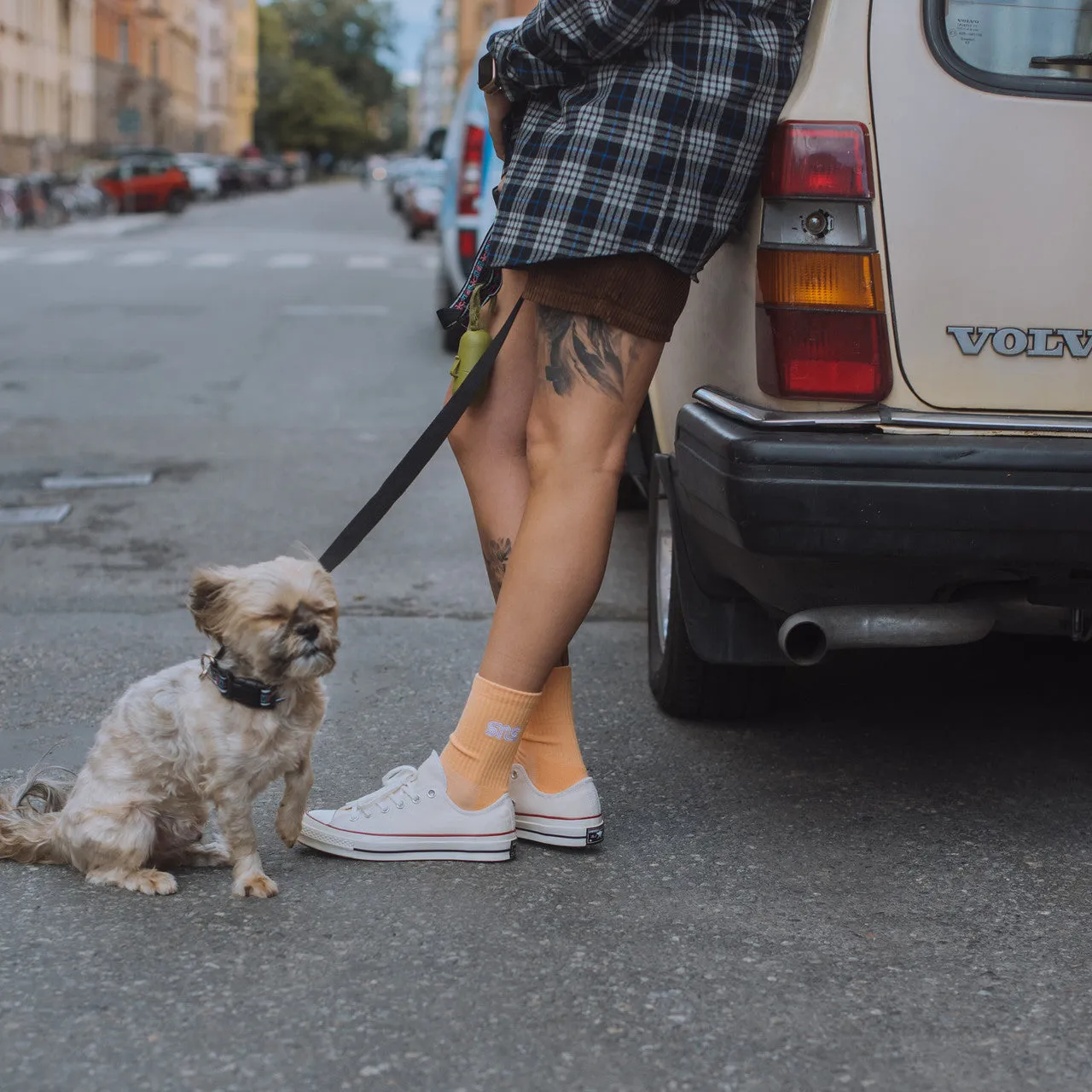 Hyperlock Heel Clasp Chuck Taylor 70 Ox