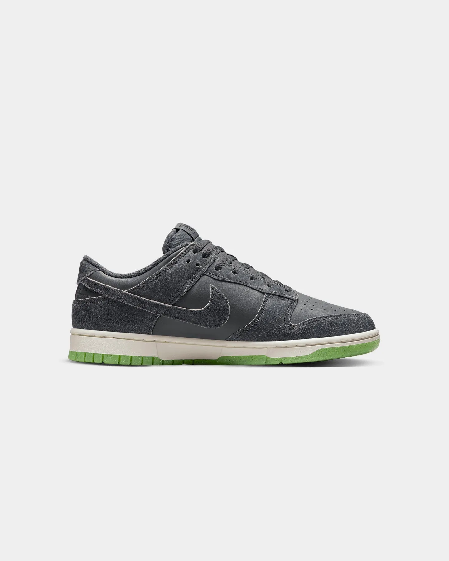 Nike Dunk Low Retro PRM Iron Grey/Phantom orthopedic