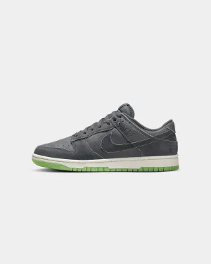 senior care waterproof Nike Dunk Low Retro PRM Iron Grey/Phantom