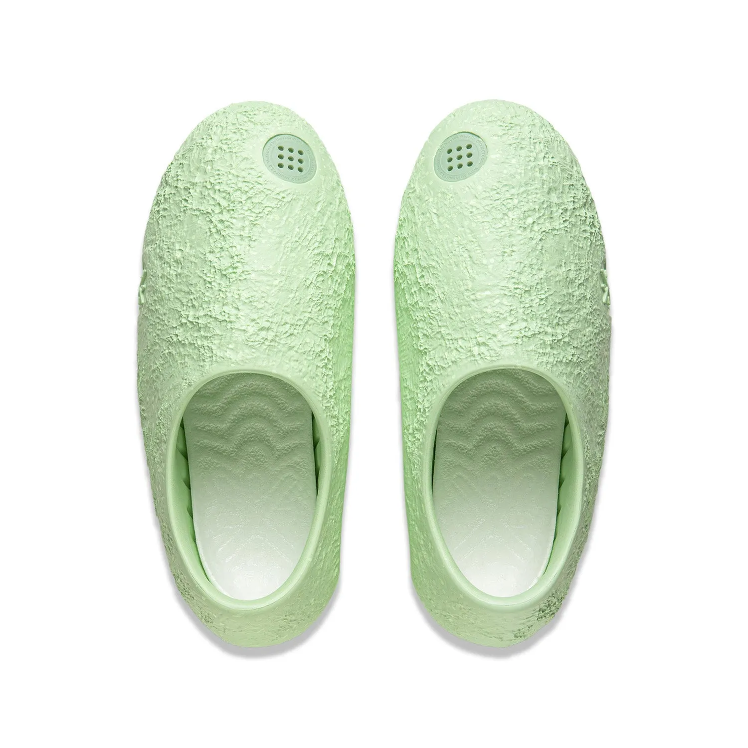 Lunar Rock "Avocado"