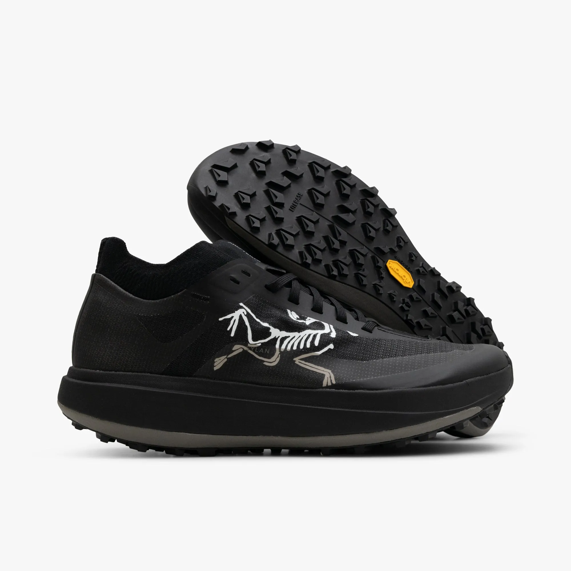 Arc'teryx Sylan Pro Black / Black running with dog shoes