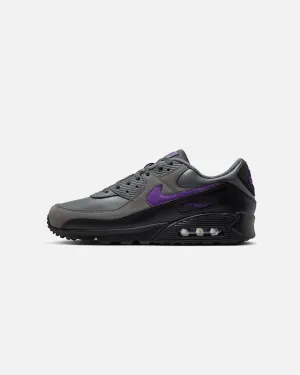 Low Zone Nike Air Max 90 Iron Grey