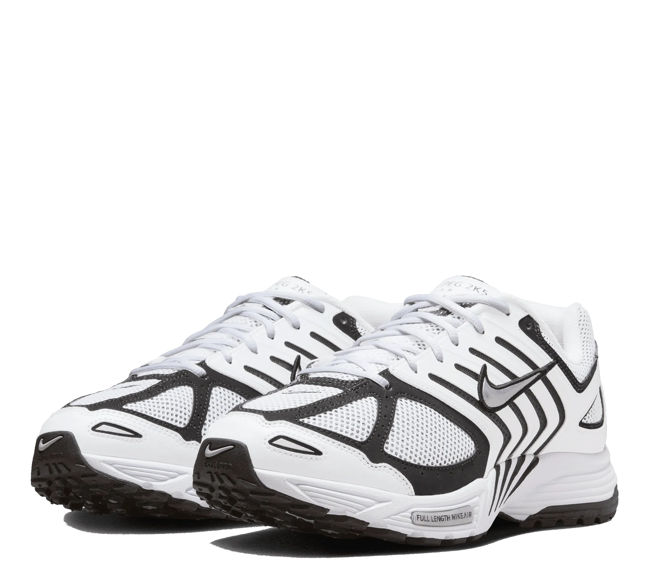 Picnic Easy Action Fast Nike Air Pegasus 2005