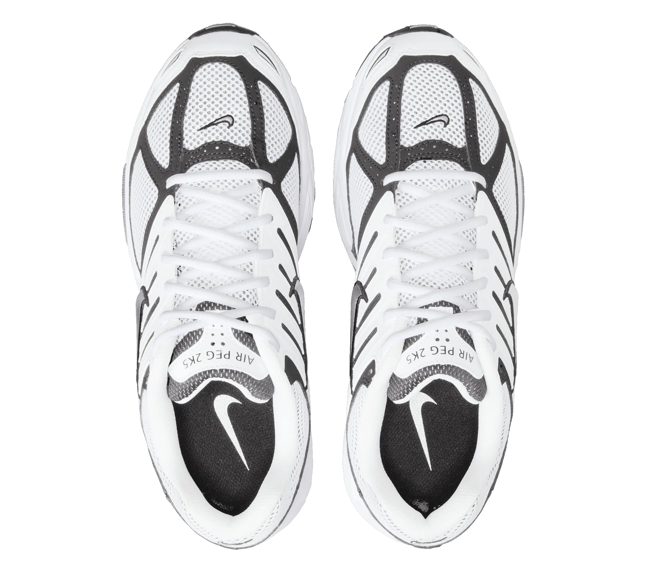 Rapid Motion Trend Hot Nike Air Pegasus 2005