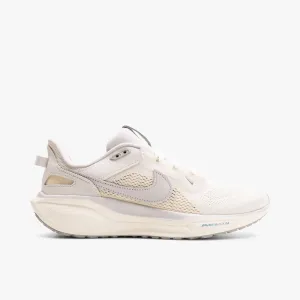 Nike Air Zoom Pegasus 41 SP Ivory / Vast Grey - Coconut Milk Anti Bacterial