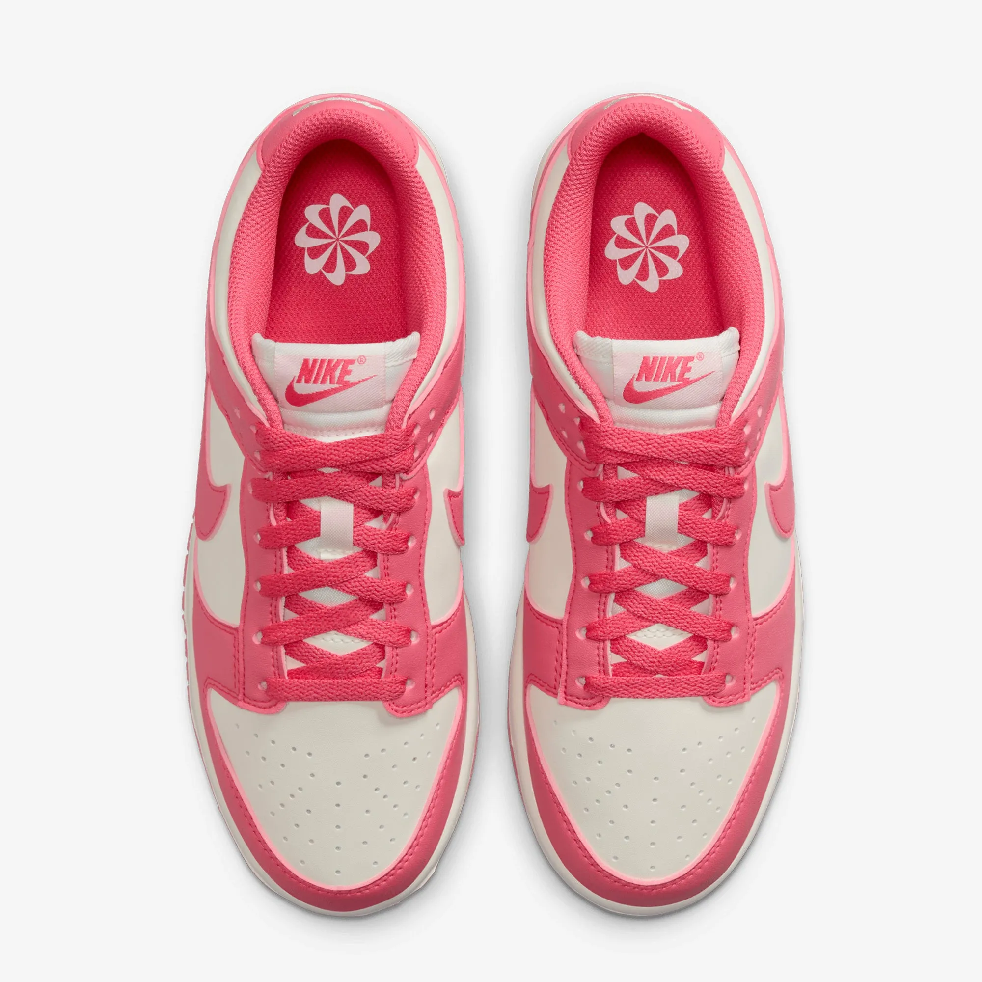 Glossy Finish Stable Feel NIKE | DUNK LOW { ASTER PINK/ASTER PINK-SAIL