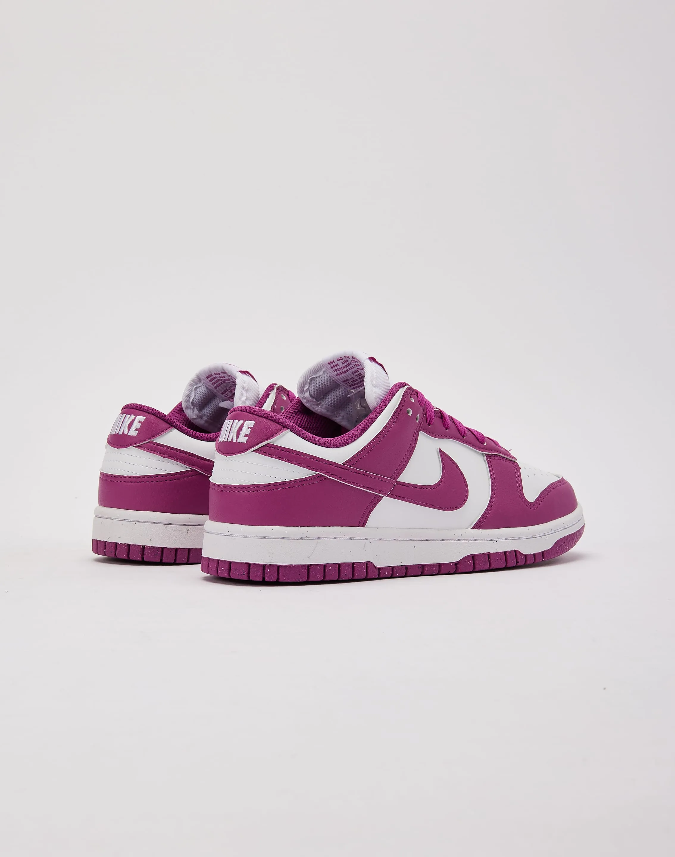 ToeProtection Nike Dunk Low Next Nature