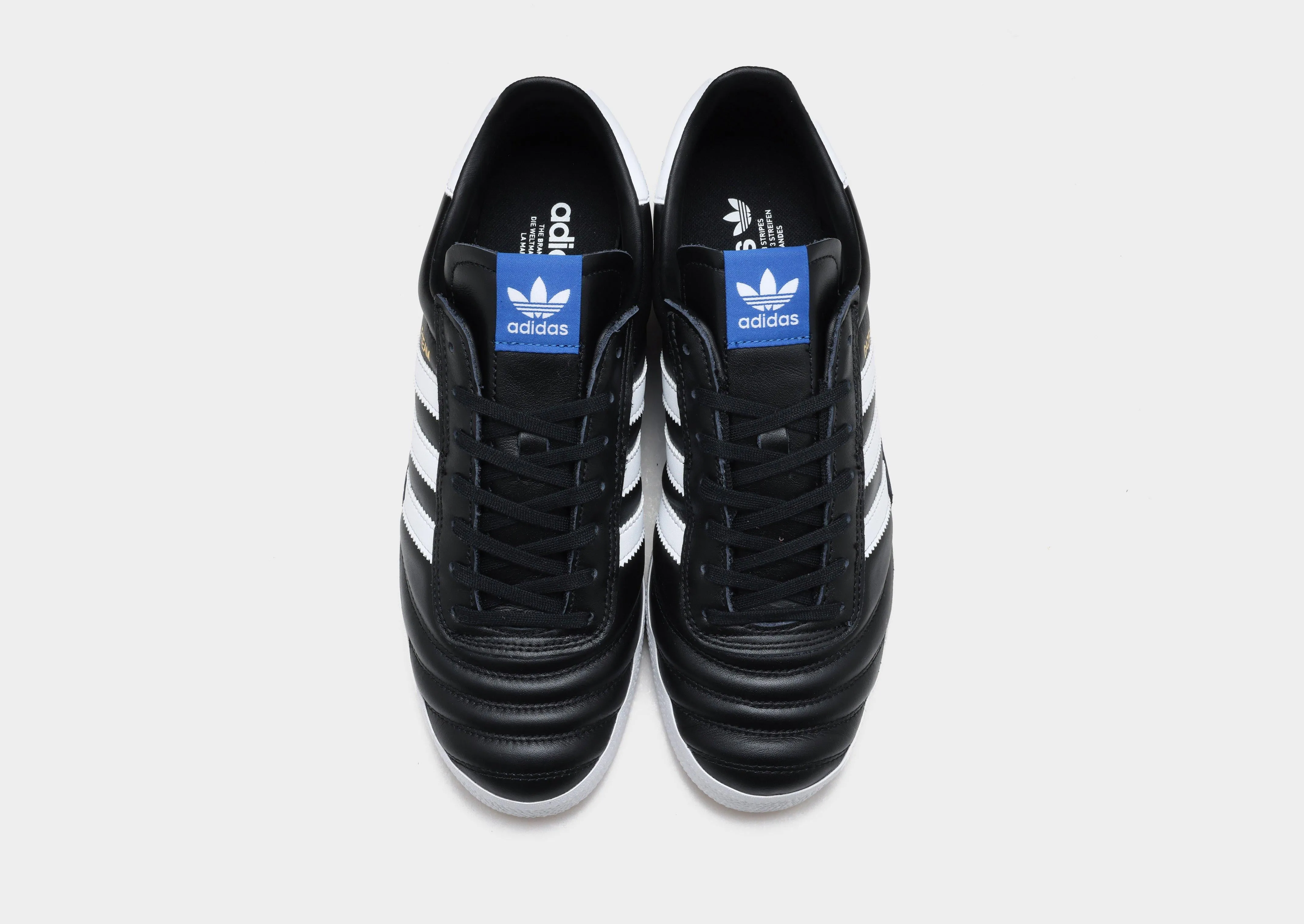 Gazelle Team Slide Hike