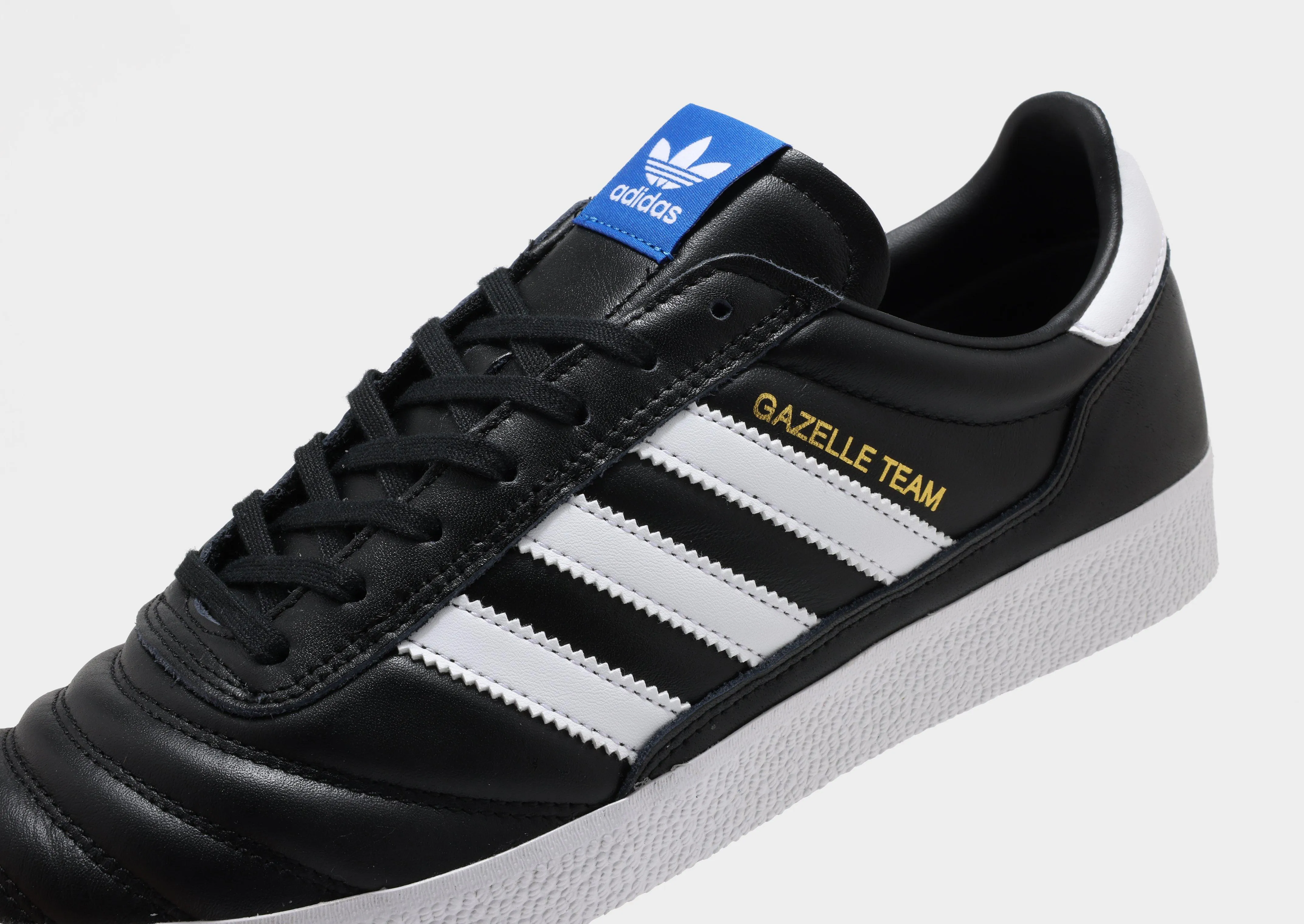 Gazelle Team City Tour