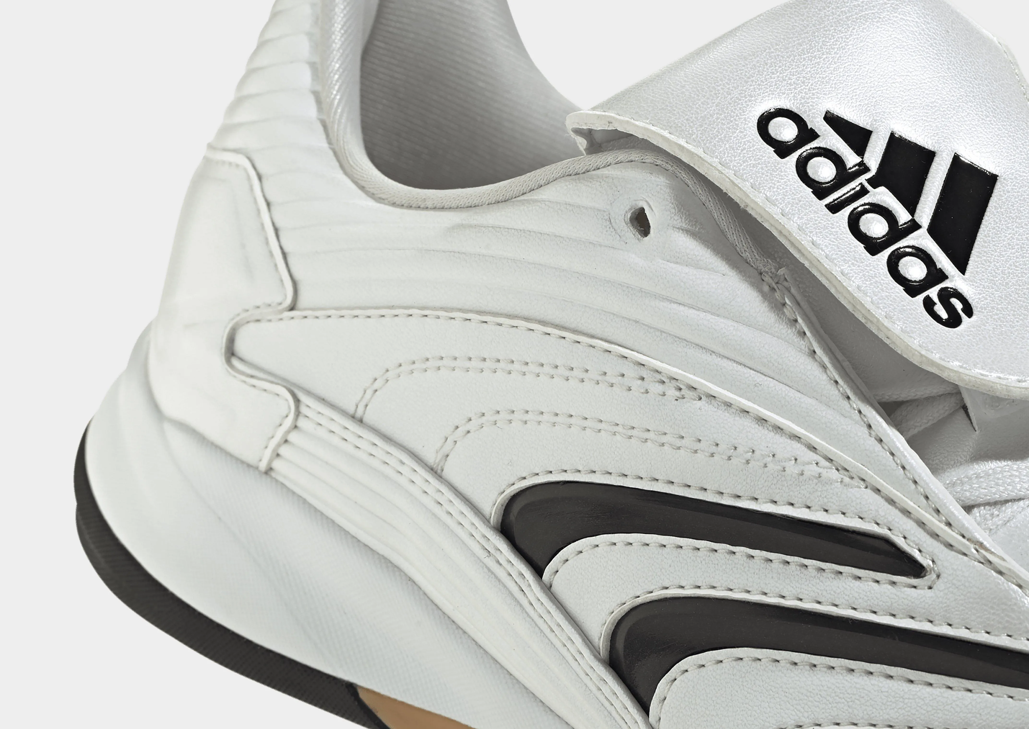 Indoor Friendly Predator Sala