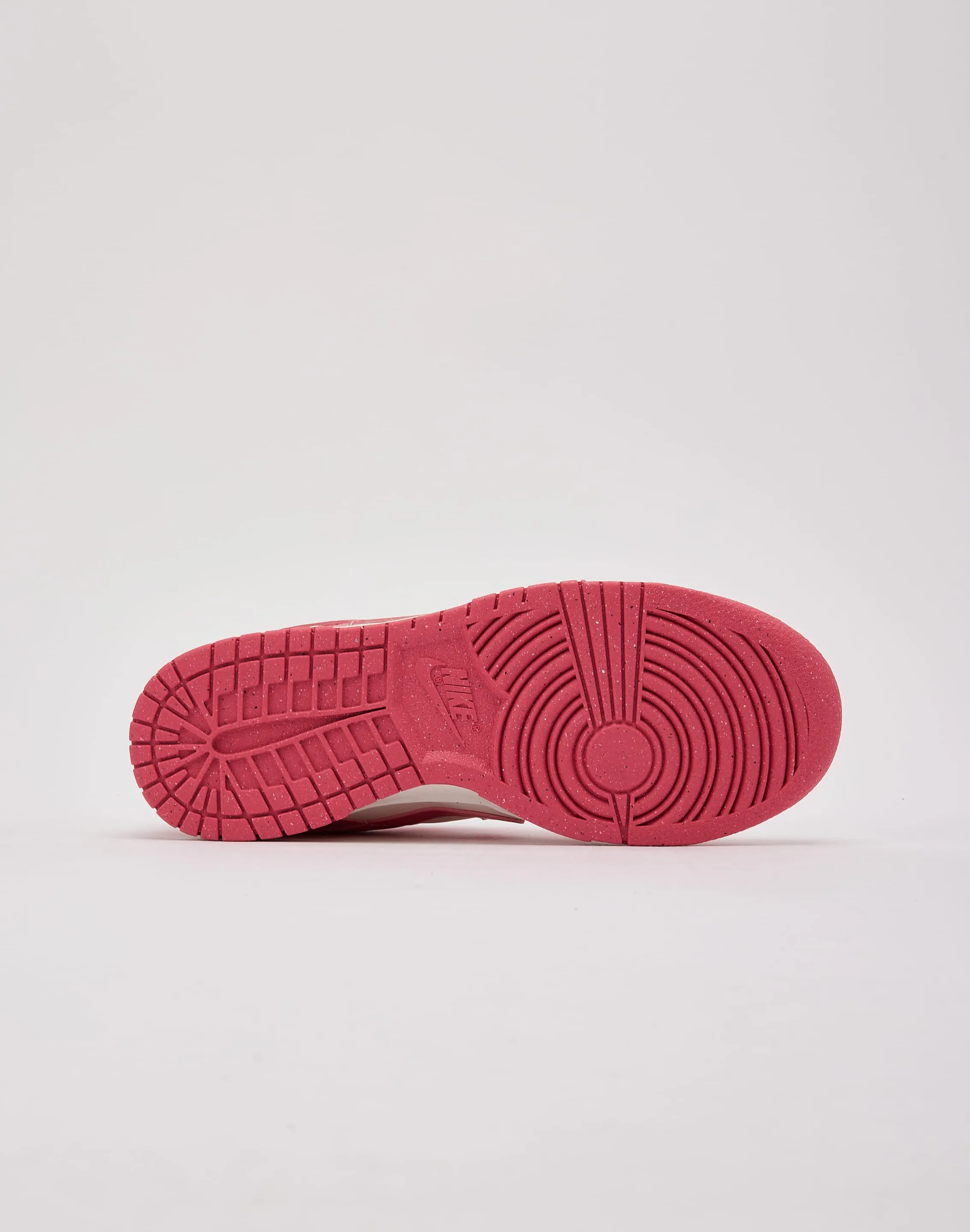 Nike Dunk Low Professional Stability