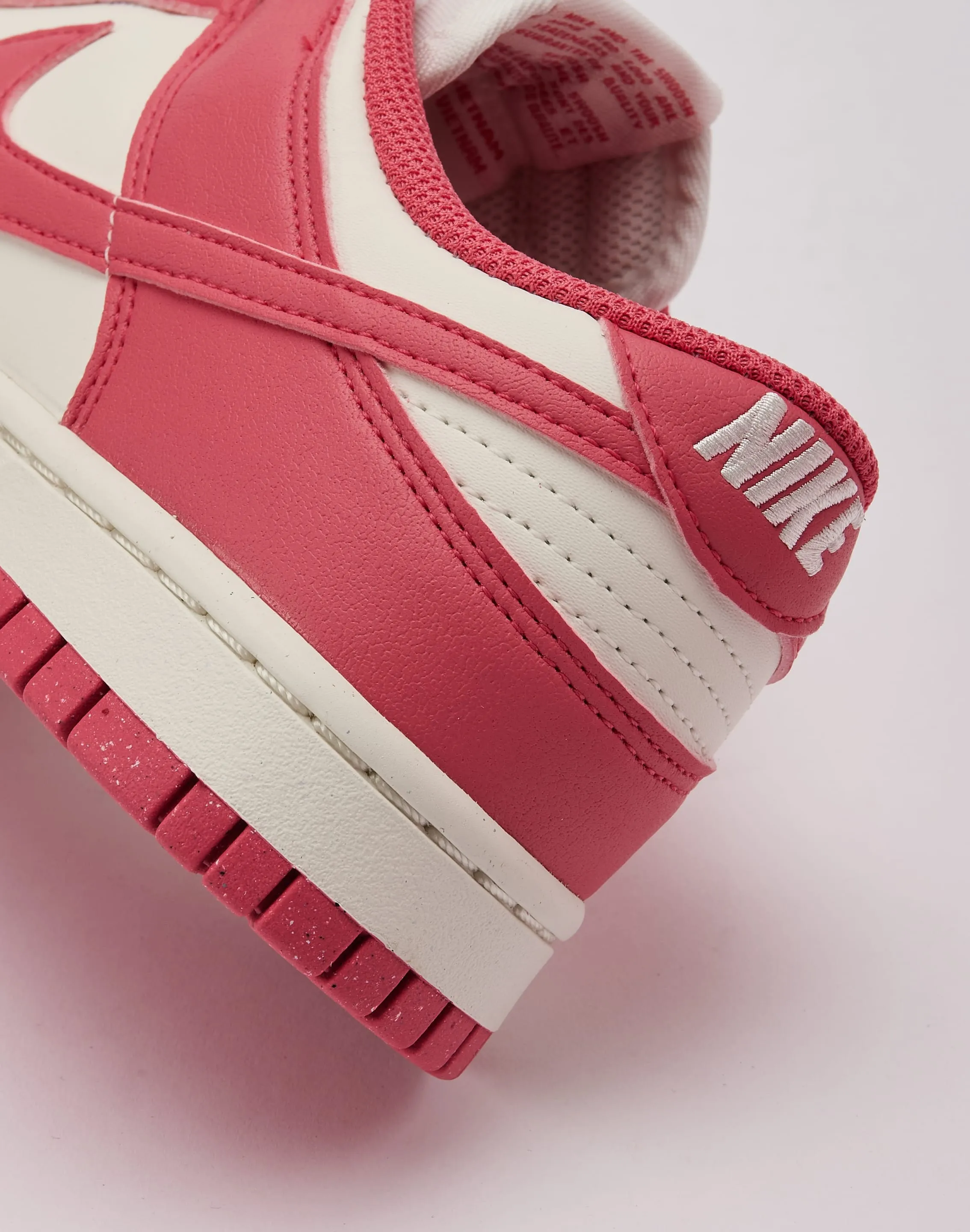 Anti Odor Nike Dunk Low