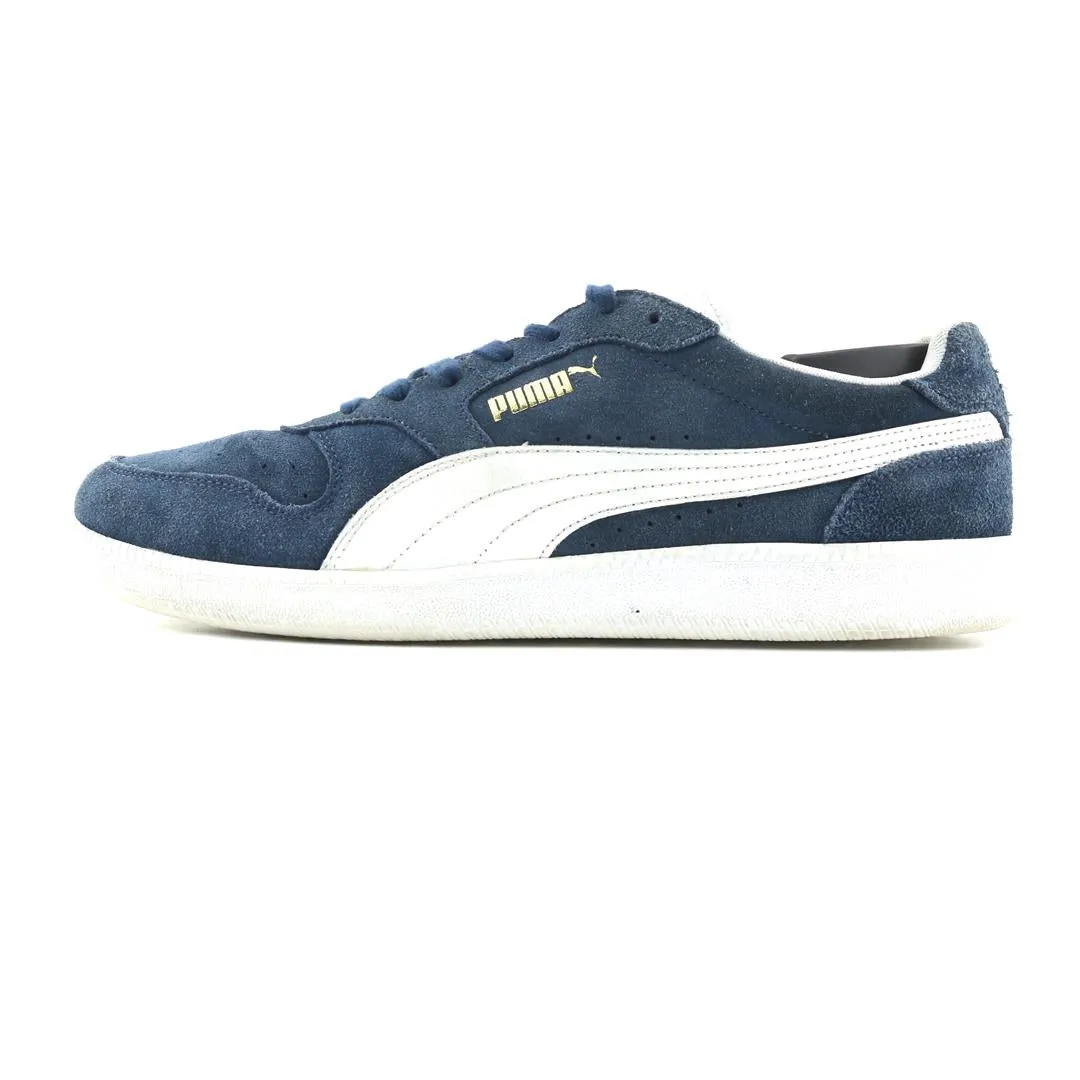 Pasture Path PUMA ICRA