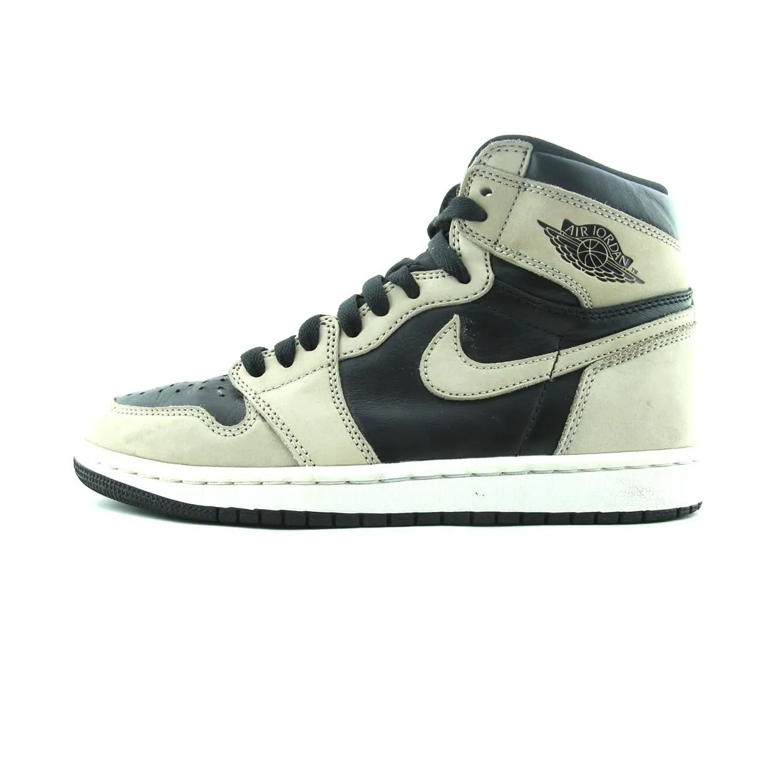 Fast Slip Frost Step JORDAN 1 RETRO HIGH