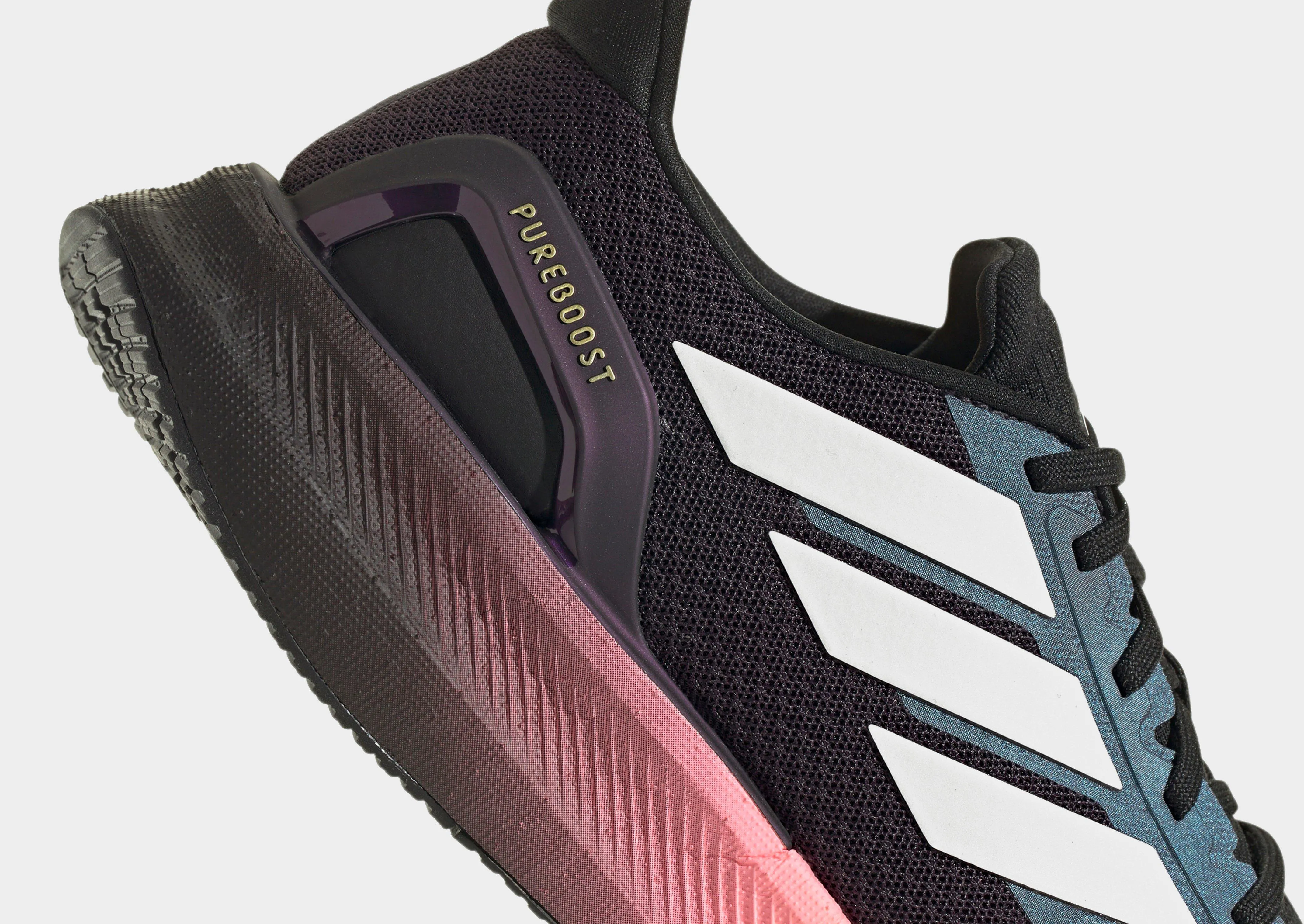 Pureboost 5 Harbor Hike