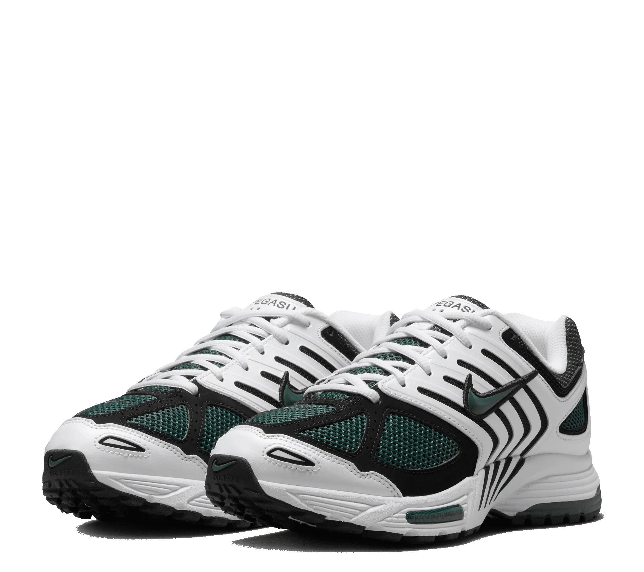 W Nike Air Pegasus 2005 professional